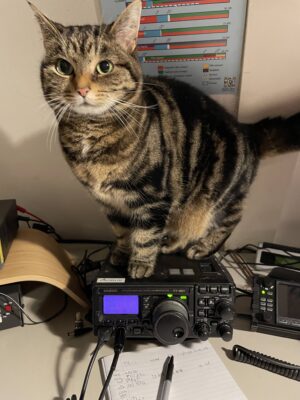 CAT interface